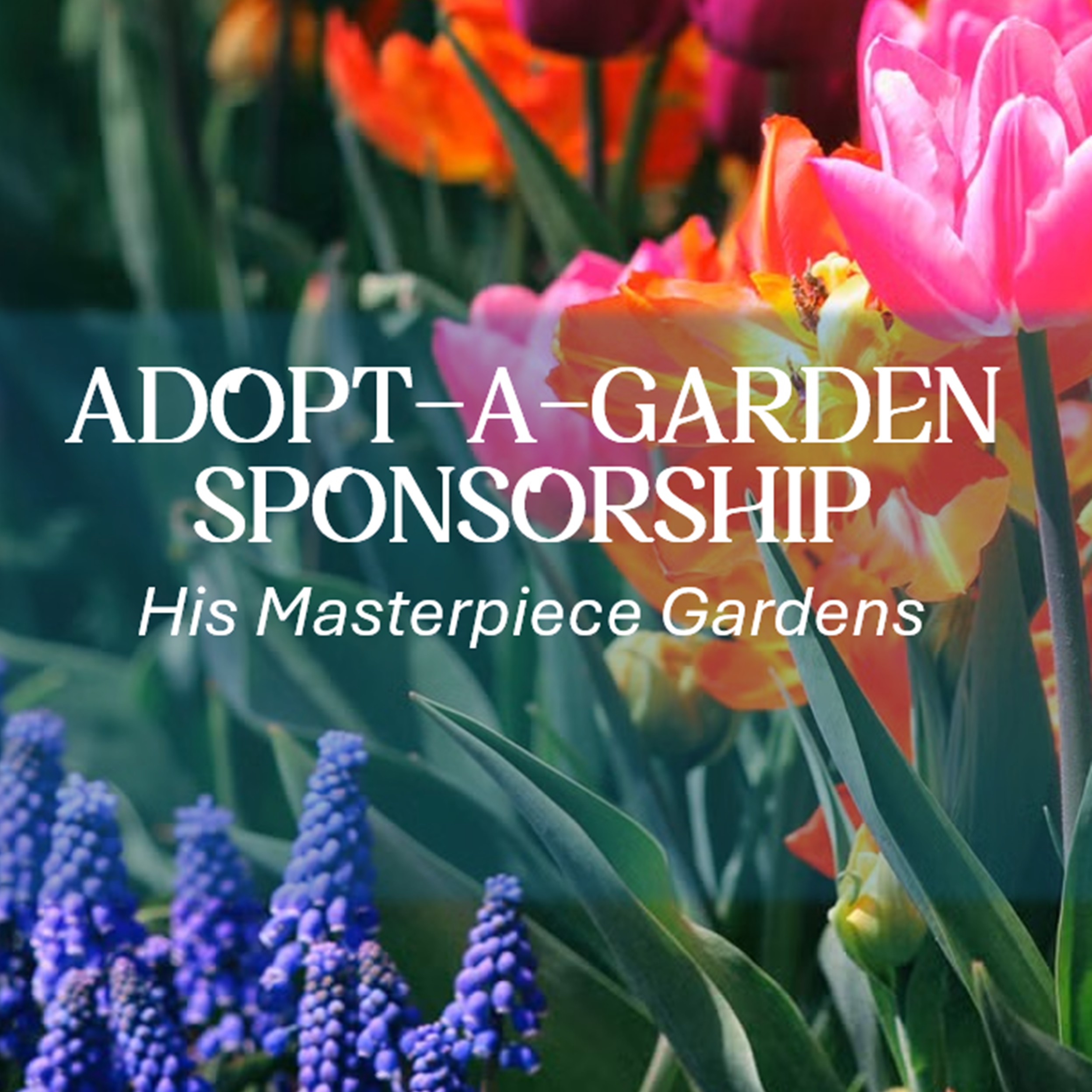 Image for Adopt-a-Garden Sponsorship: HMG